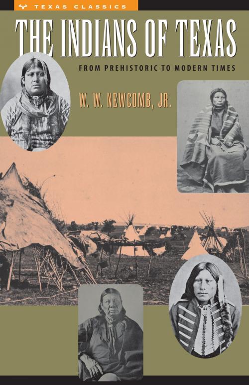 Cover of the book The Indians of Texas by W.W., Jr. Newcomb, University of Texas Press