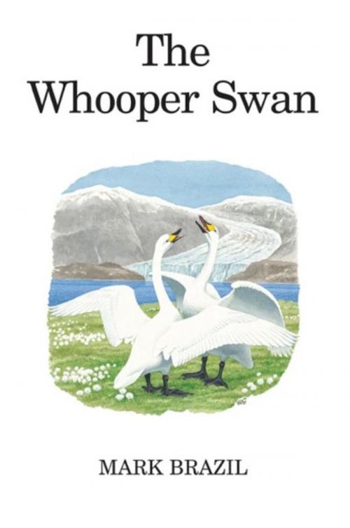 Cover of the book The Whooper Swan by Mark Brazil, Bloomsbury Publishing