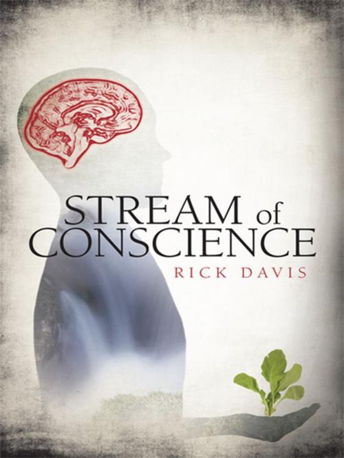 Cover of the book Stream of Conscience by Rick Davis, iUniverse