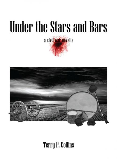 Cover of the book Under the Stars and Bars by Terry P. Collins, Xlibris US