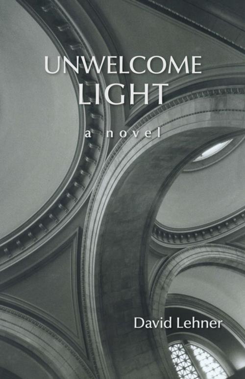 Cover of the book Unwelcome Light by David Lehner, Daniel & Daniel Publishers