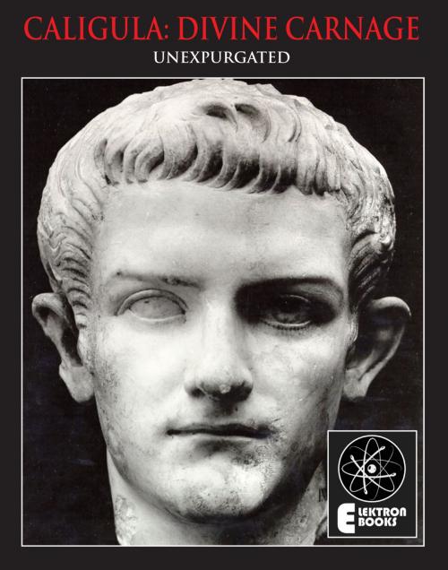 Cover of the book CALIGULA: DIVINE CARNAGE by Stephen Barber, Elektron Ebooks