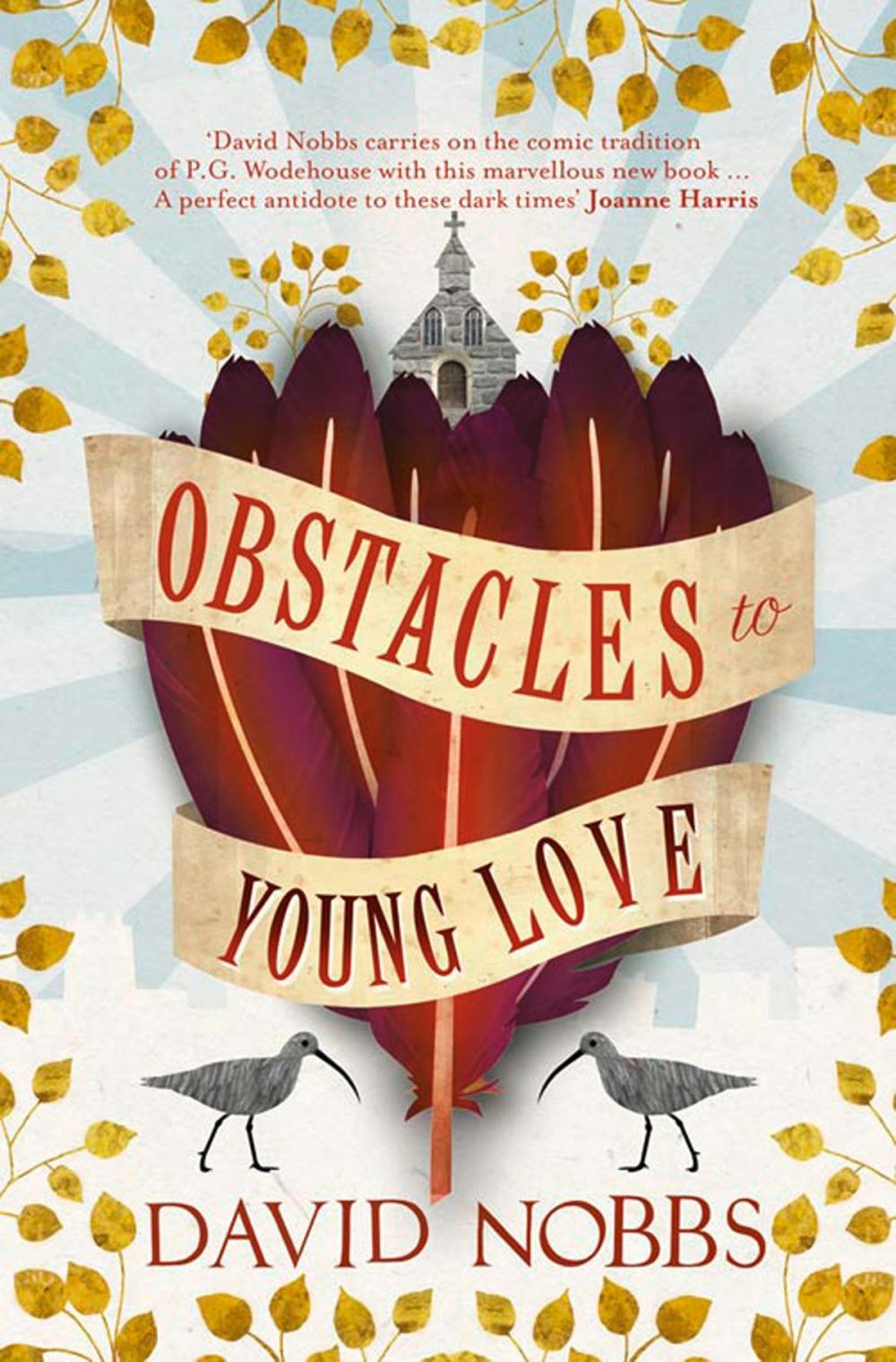 Big bigCover of Obstacles to Young Love