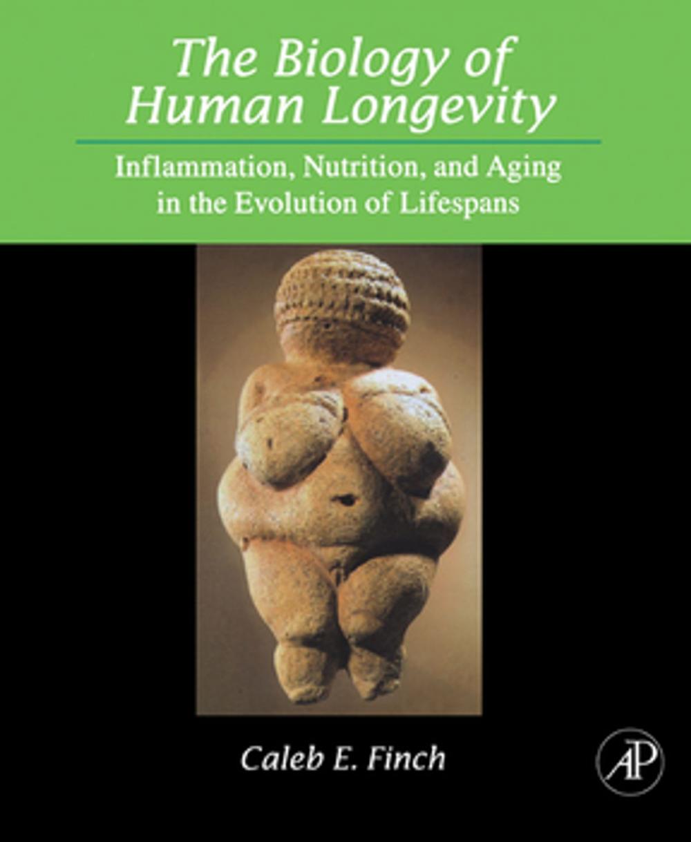 Big bigCover of The Biology of Human Longevity