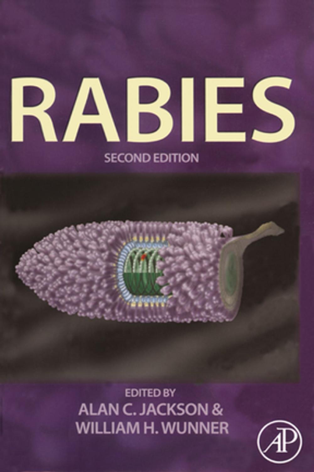 Big bigCover of Rabies