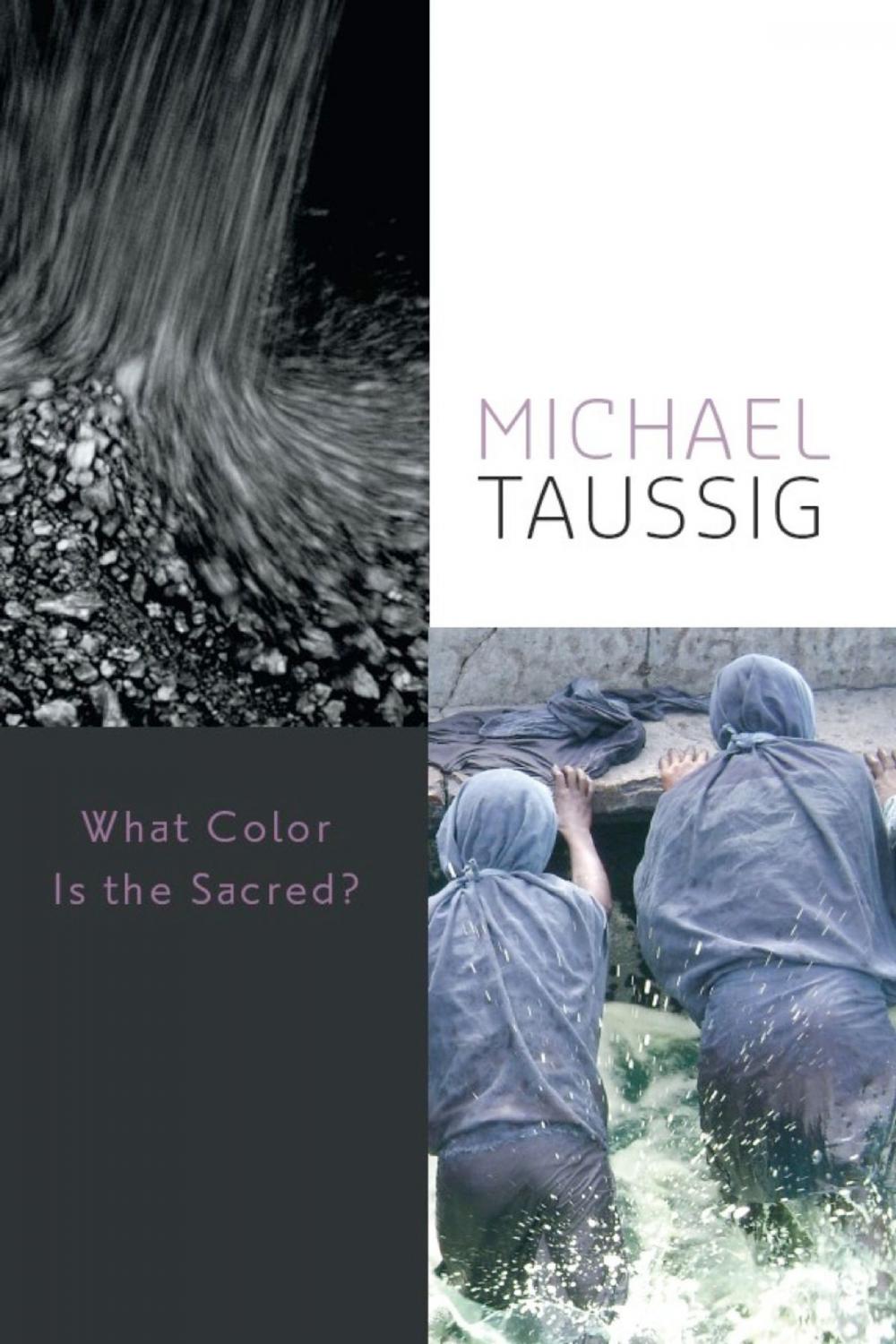 Big bigCover of What Color Is the Sacred?