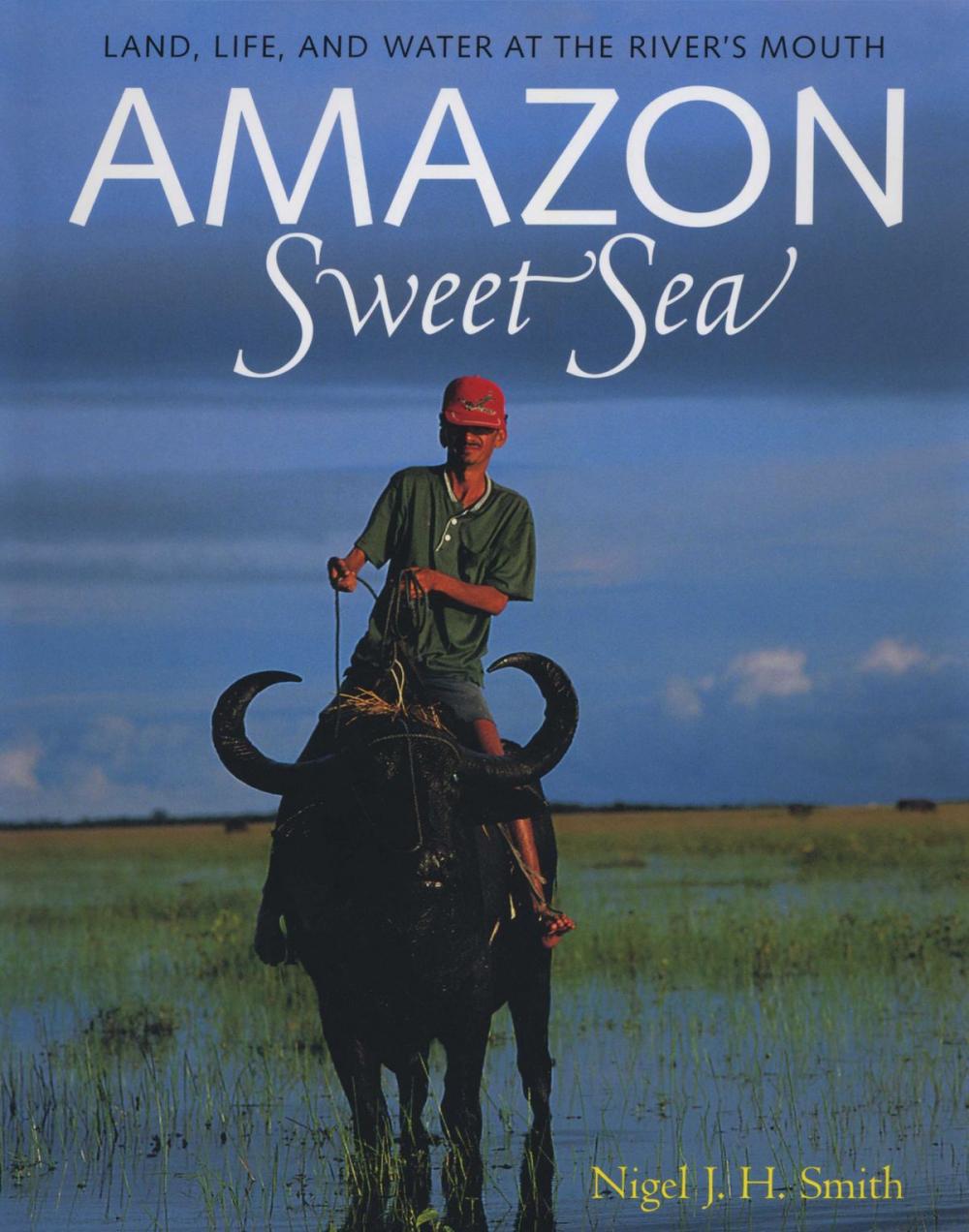 Big bigCover of Amazon Sweet Sea