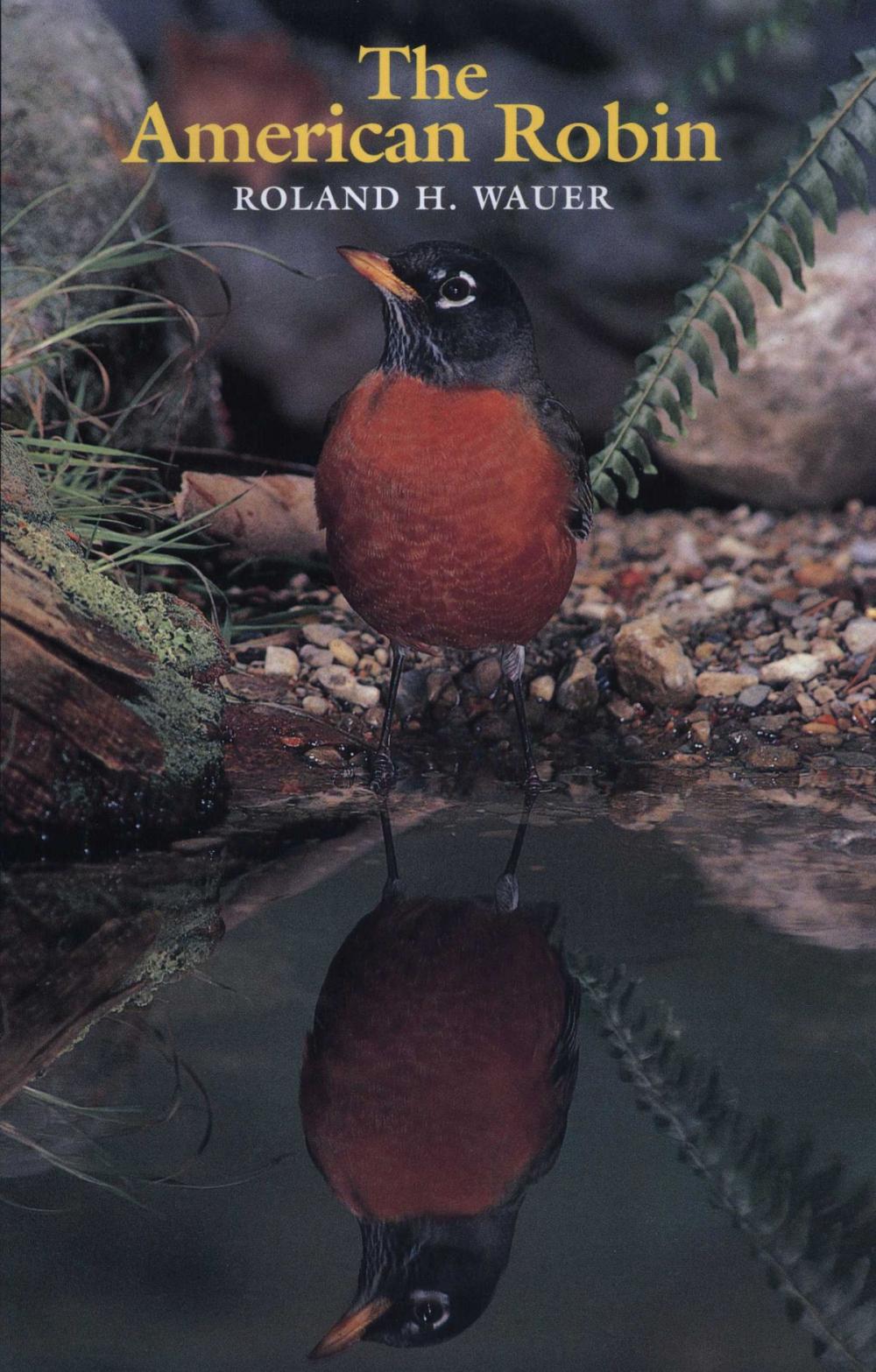 Big bigCover of The American Robin