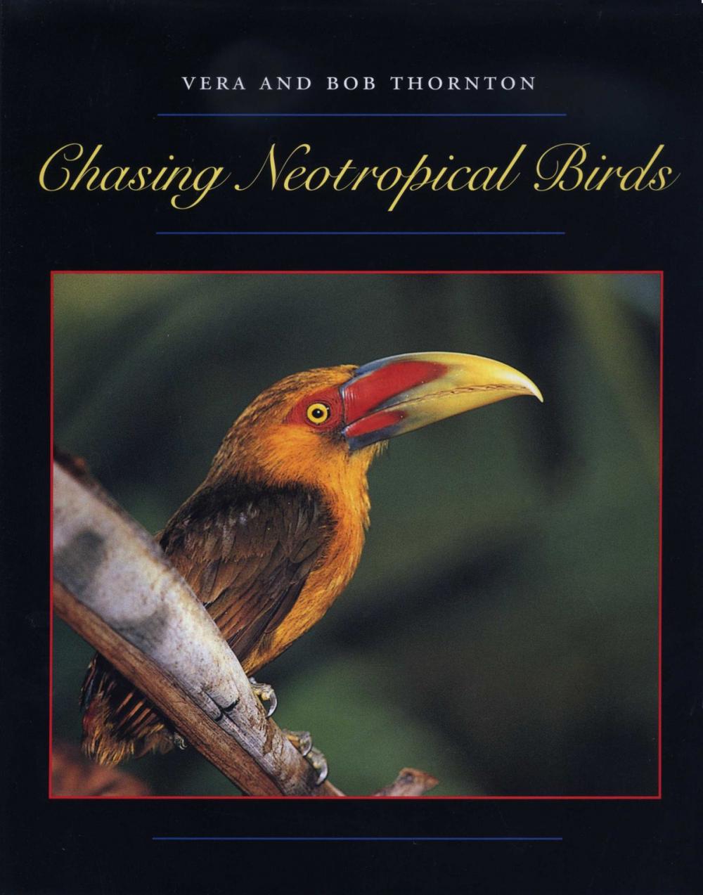 Big bigCover of Chasing Neotropical Birds