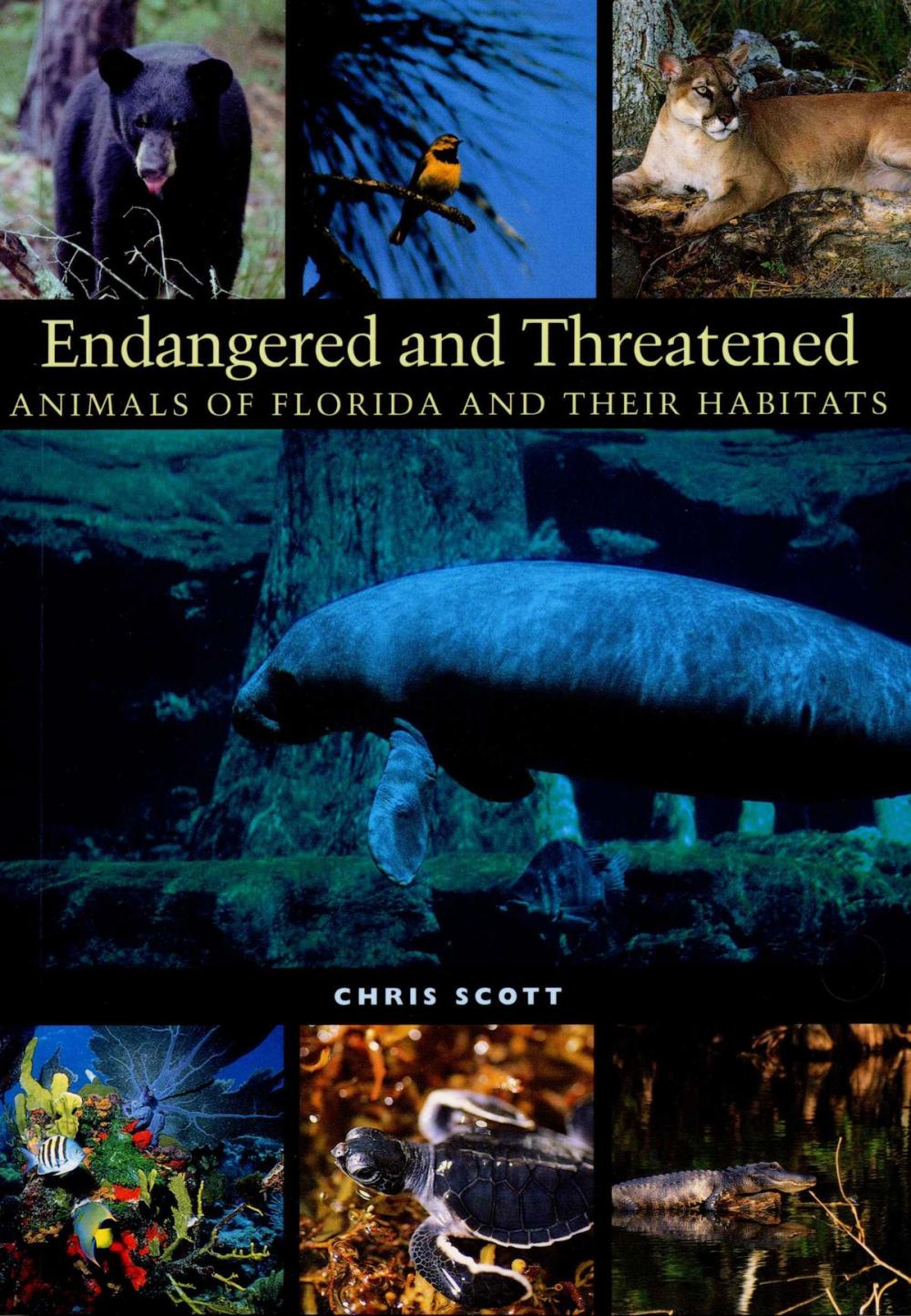 Big bigCover of Endangered and Threatened Animals of Florida and Their Habitats