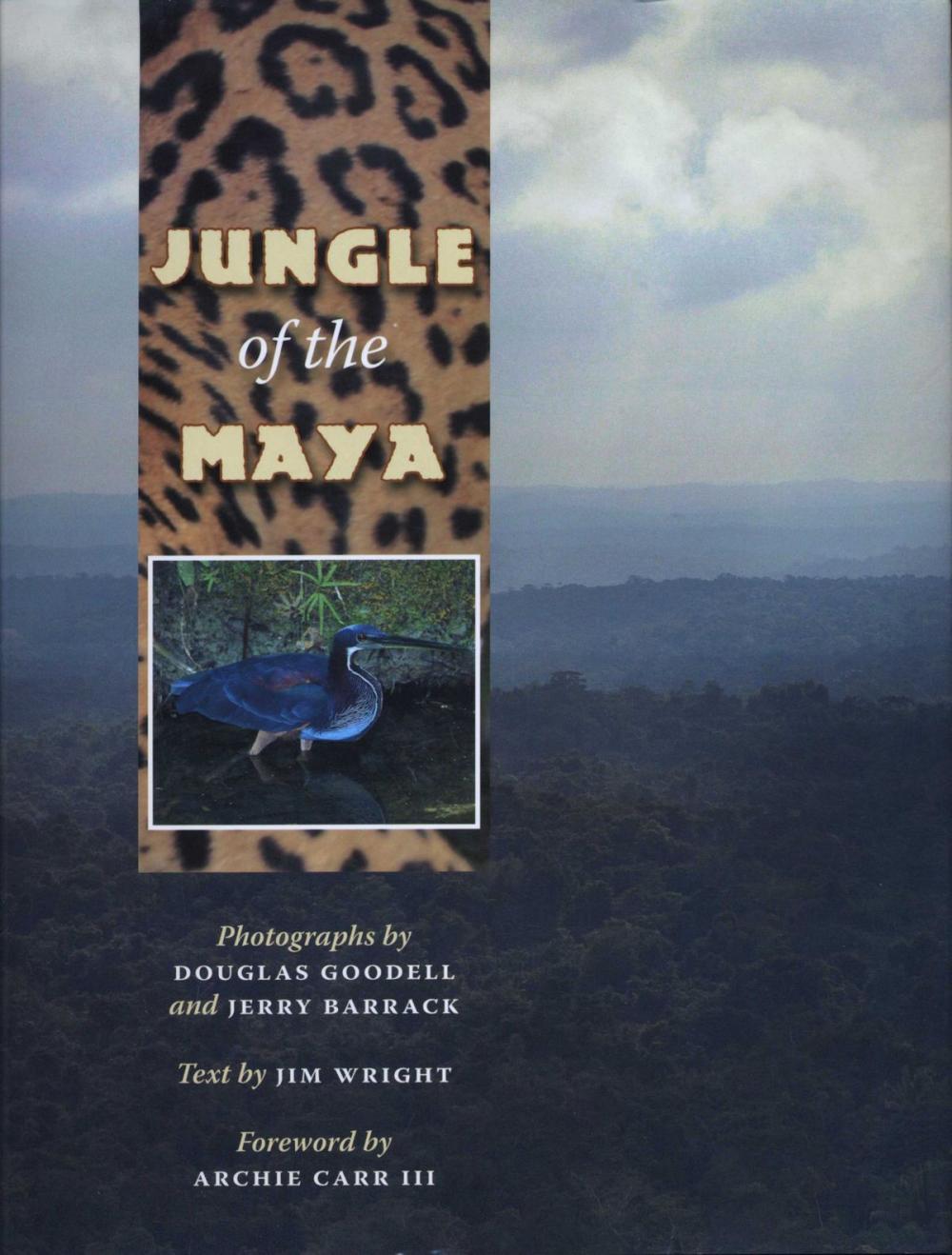 Big bigCover of Jungle of the Maya