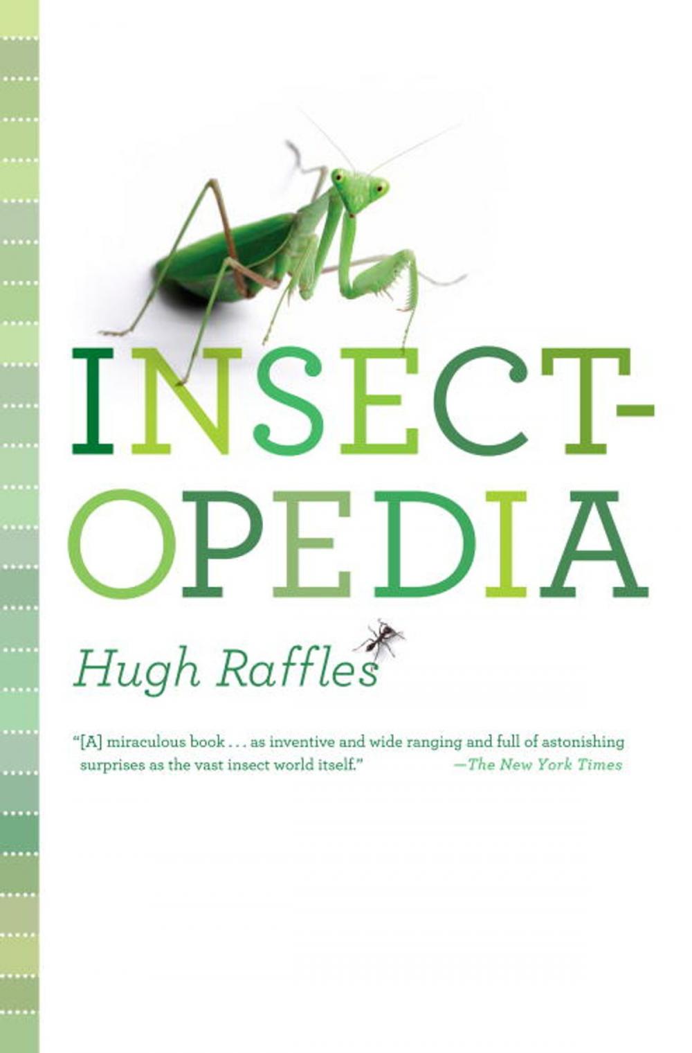 Big bigCover of Insectopedia