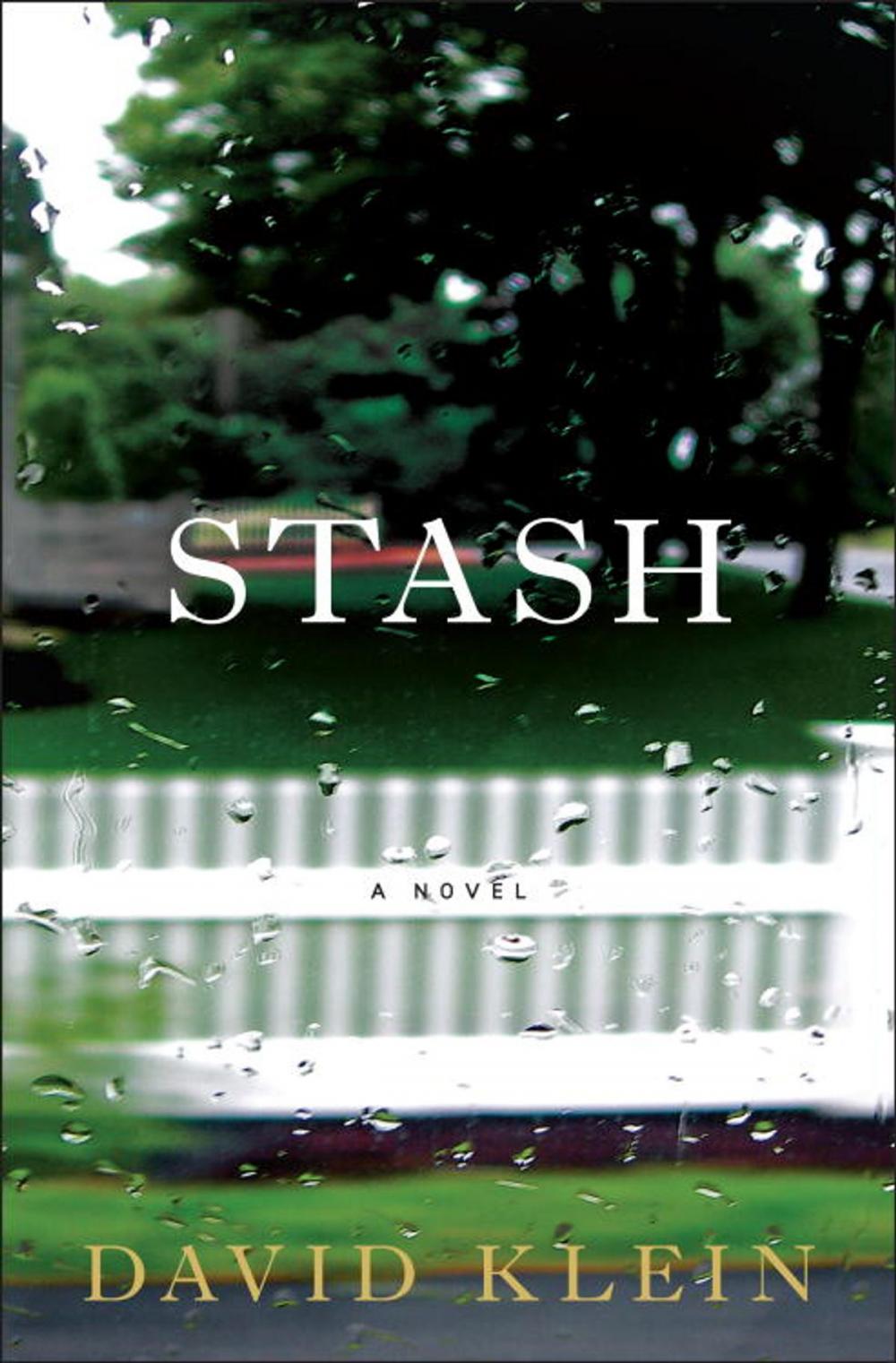 Big bigCover of Stash