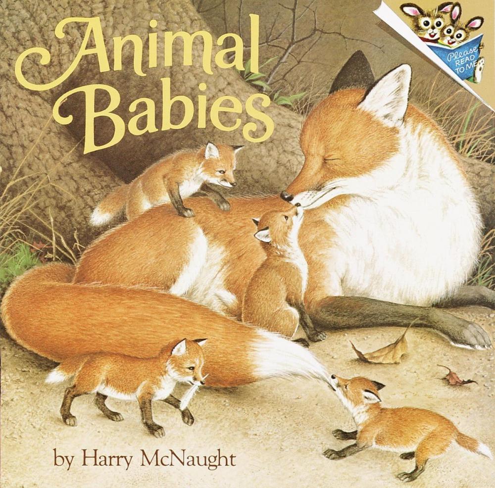 Big bigCover of Animal Babies