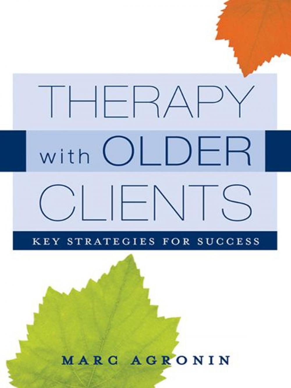 Big bigCover of Therapy with Older Clients: Key Strategies for Success