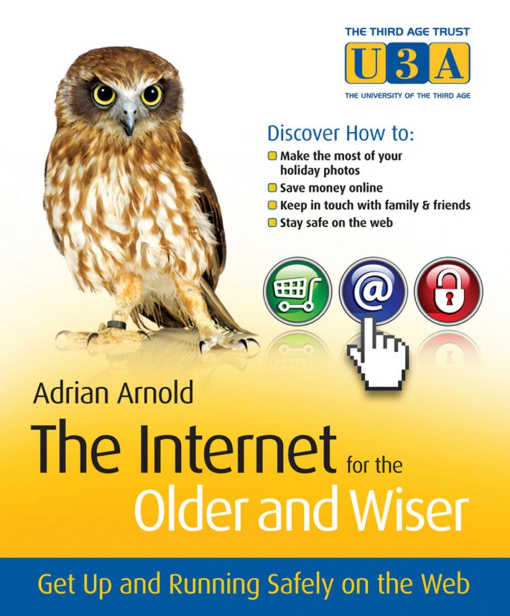 Big bigCover of The Internet for the Older and Wiser