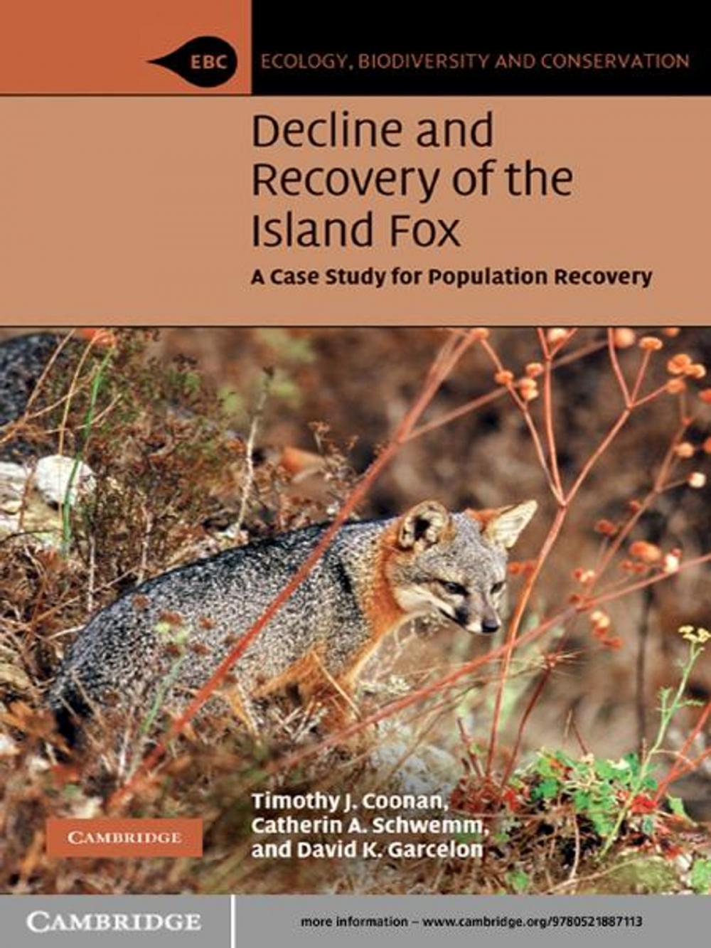 Big bigCover of Decline and Recovery of the Island Fox