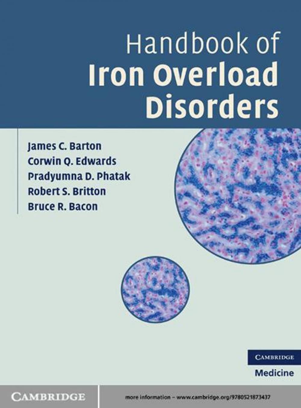 Big bigCover of Handbook of Iron Overload Disorders