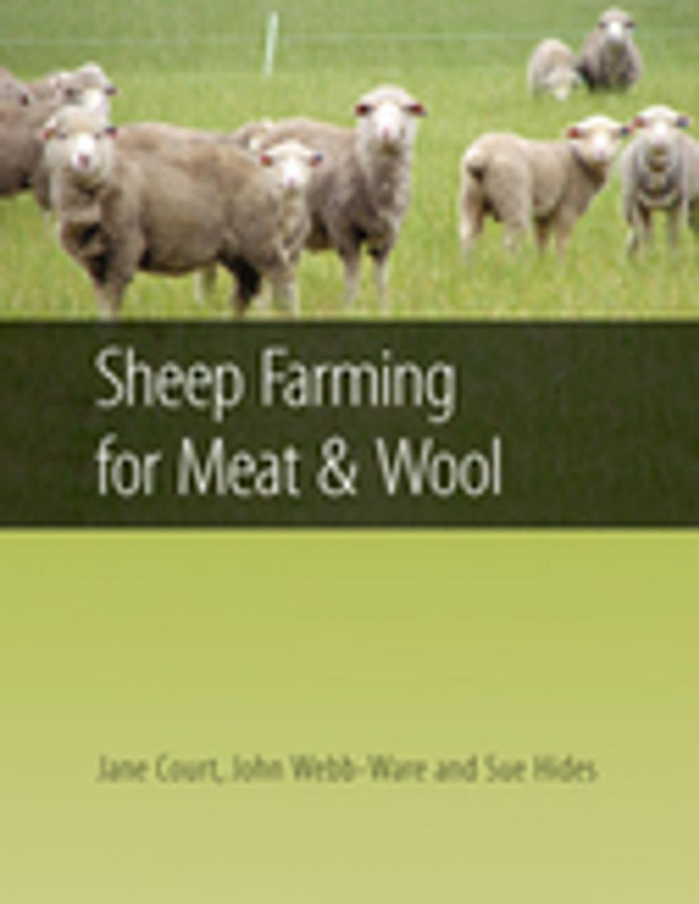 Big bigCover of Sheep Farming for Meat and Wool