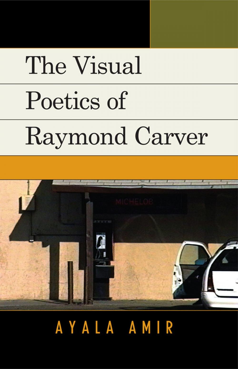 Big bigCover of The Visual Poetics of Raymond Carver