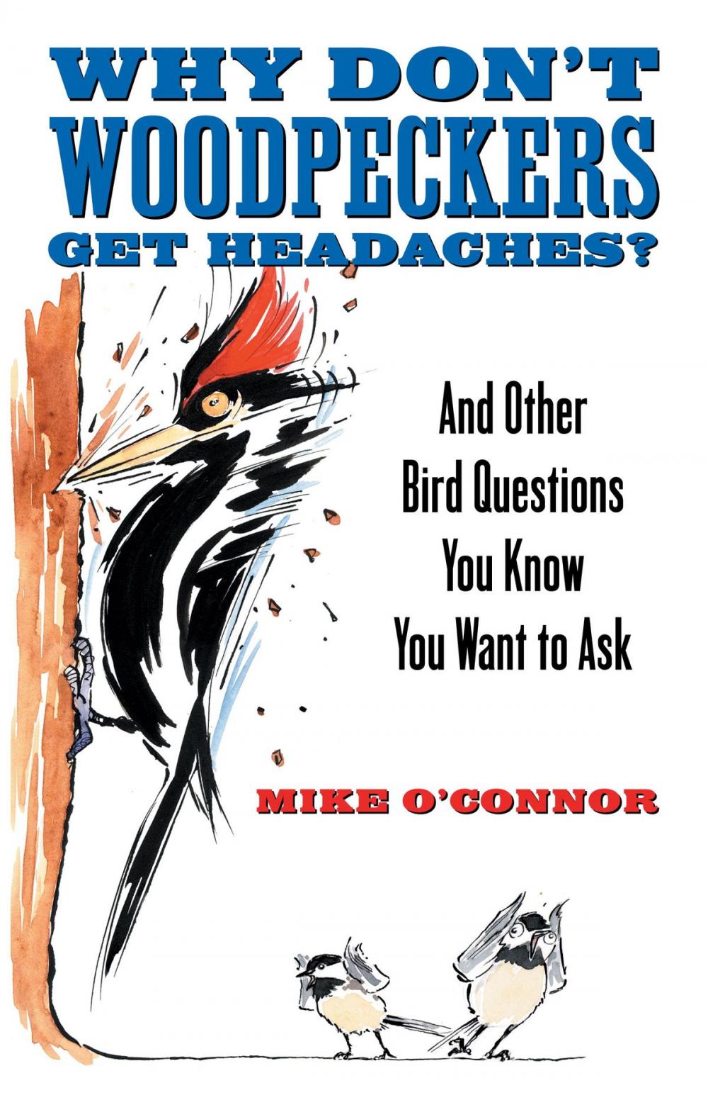 Big bigCover of Why Don't Woodpeckers Get Headaches?