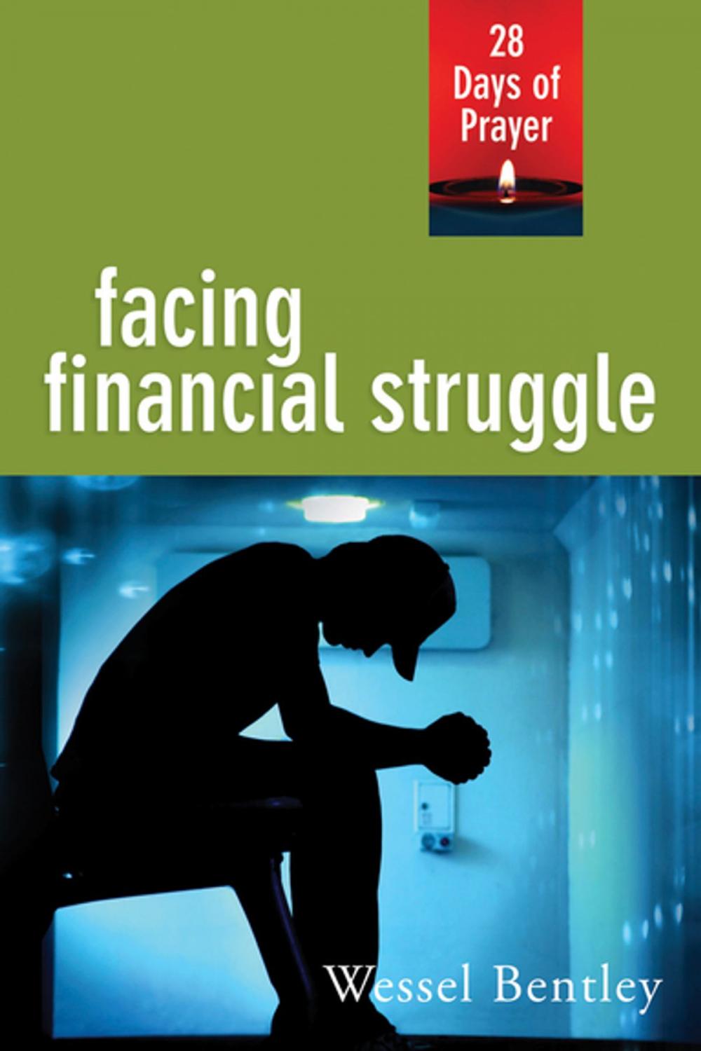 Big bigCover of Facing Financial Struggle