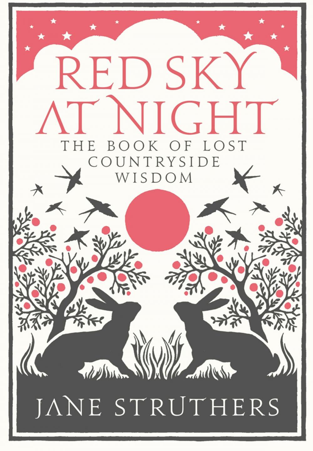 Big bigCover of Red Sky at Night