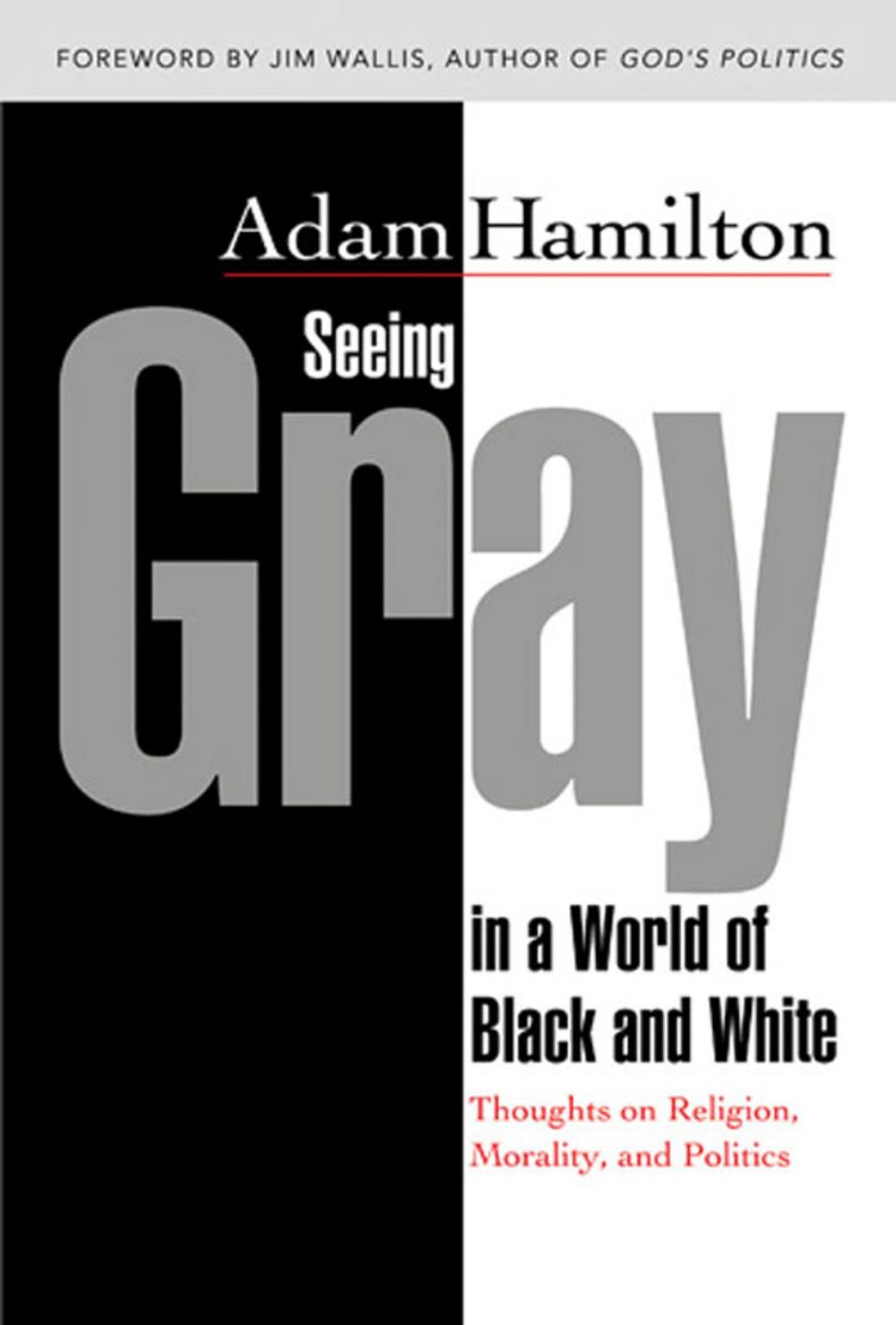 Big bigCover of Seeing Gray in a World of Black and White