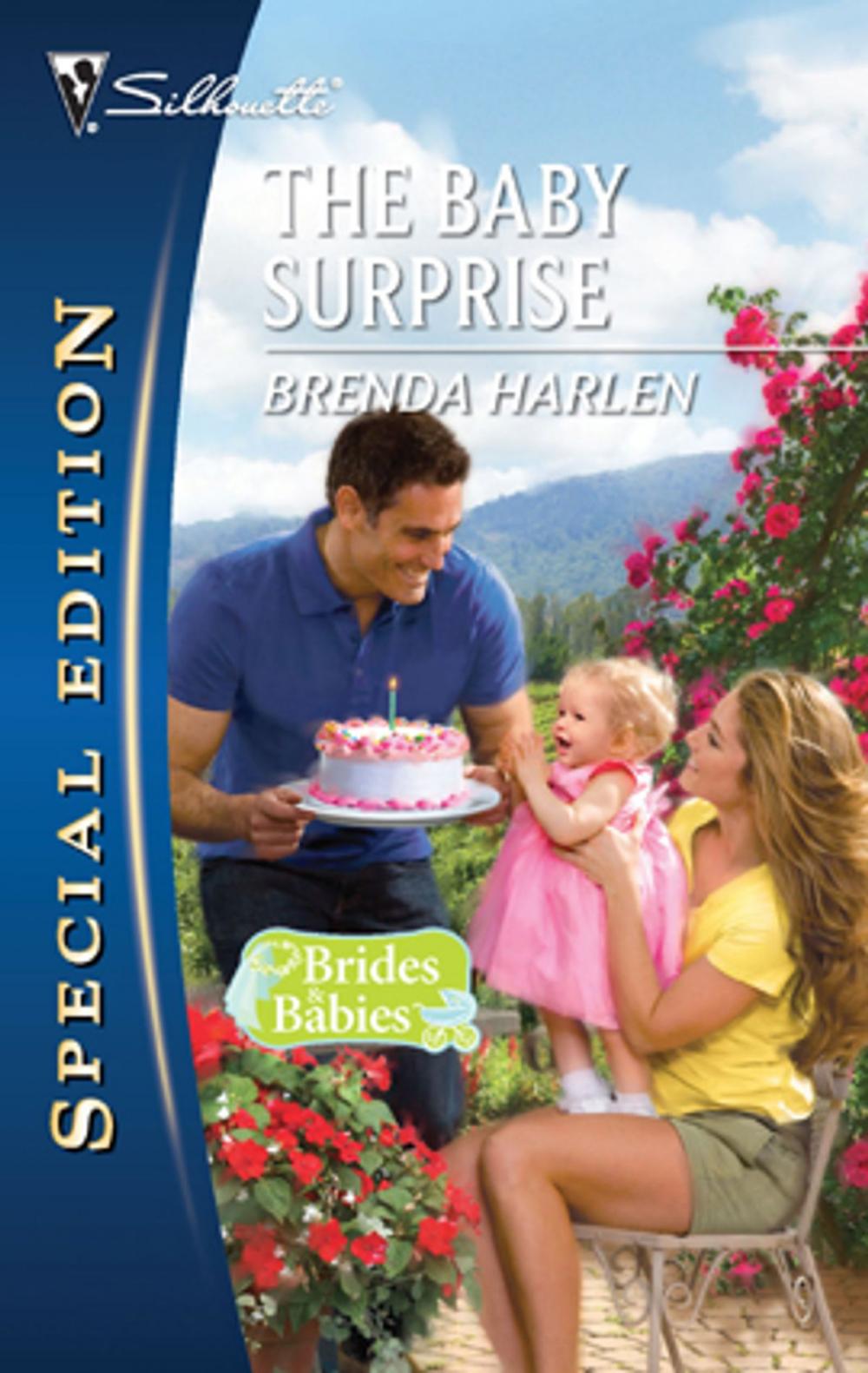 Big bigCover of The Baby Surprise