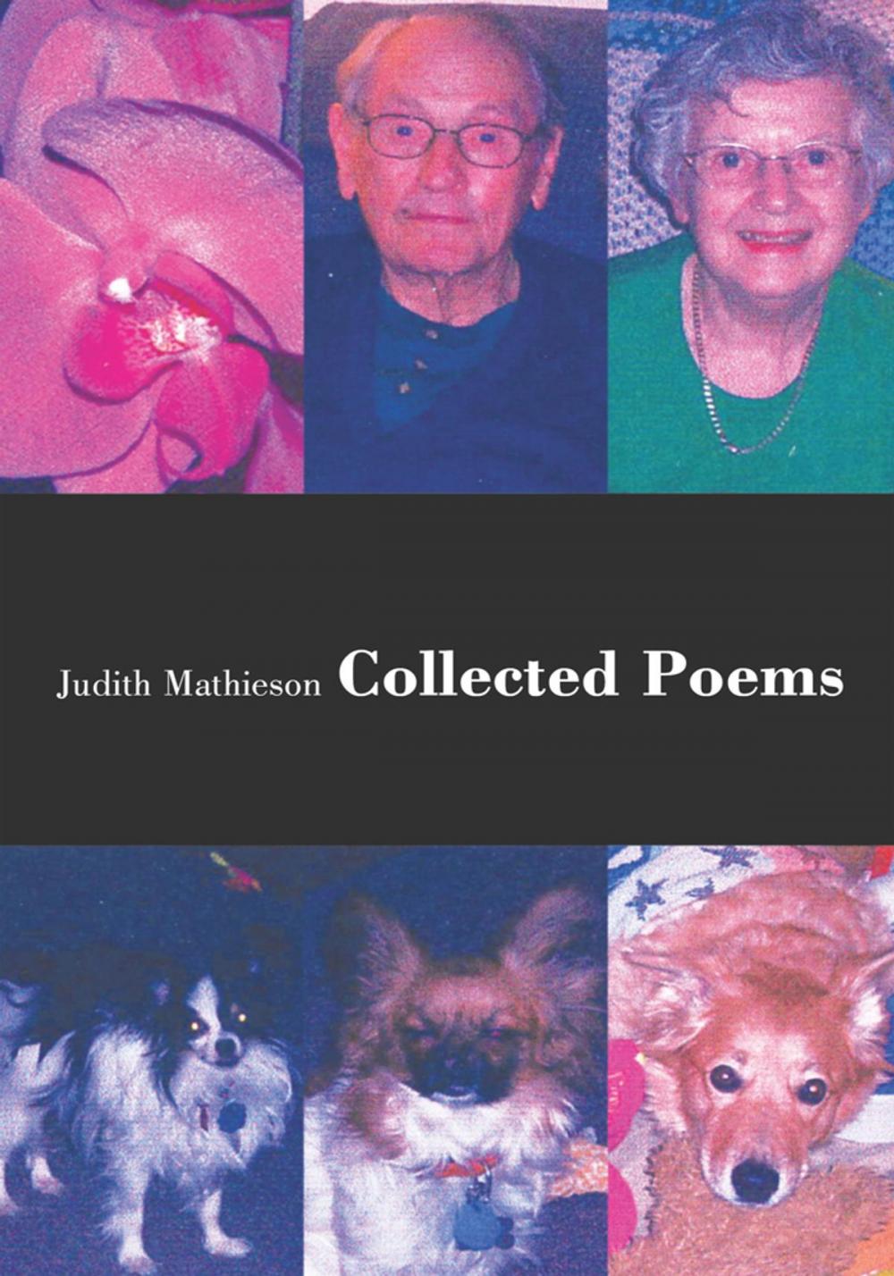 Big bigCover of Collected Poems