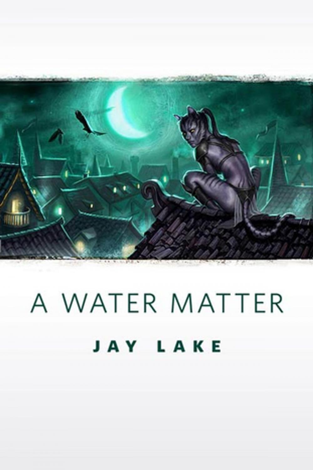 Big bigCover of A Water Matter