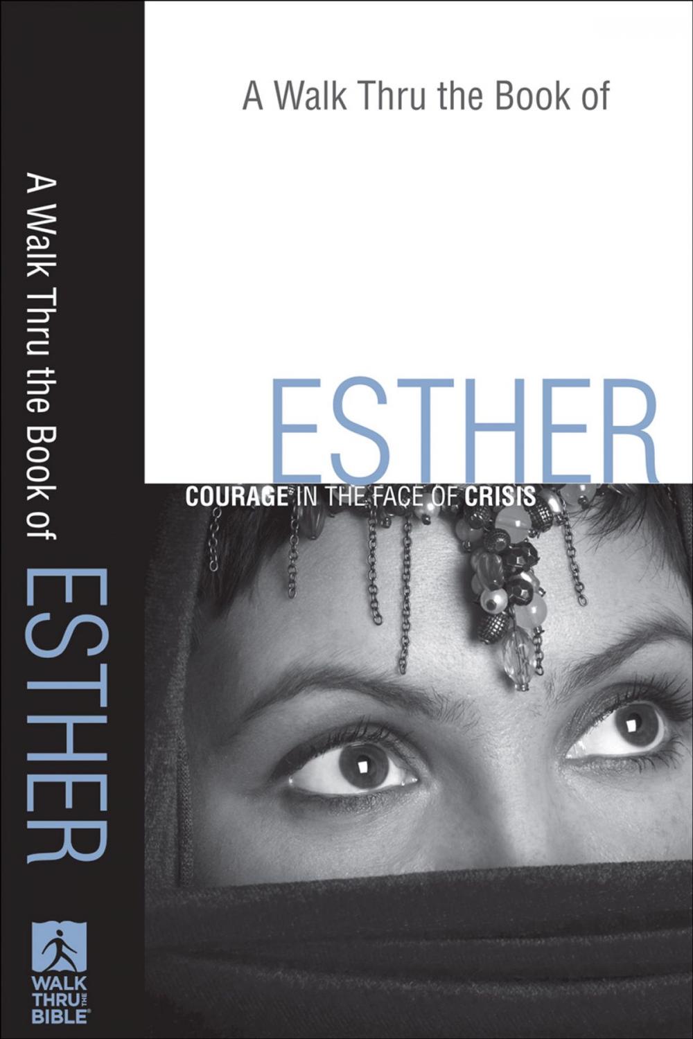 Big bigCover of A Walk Thru the Book of Esther (Walk Thru the Bible Discussion Guides)