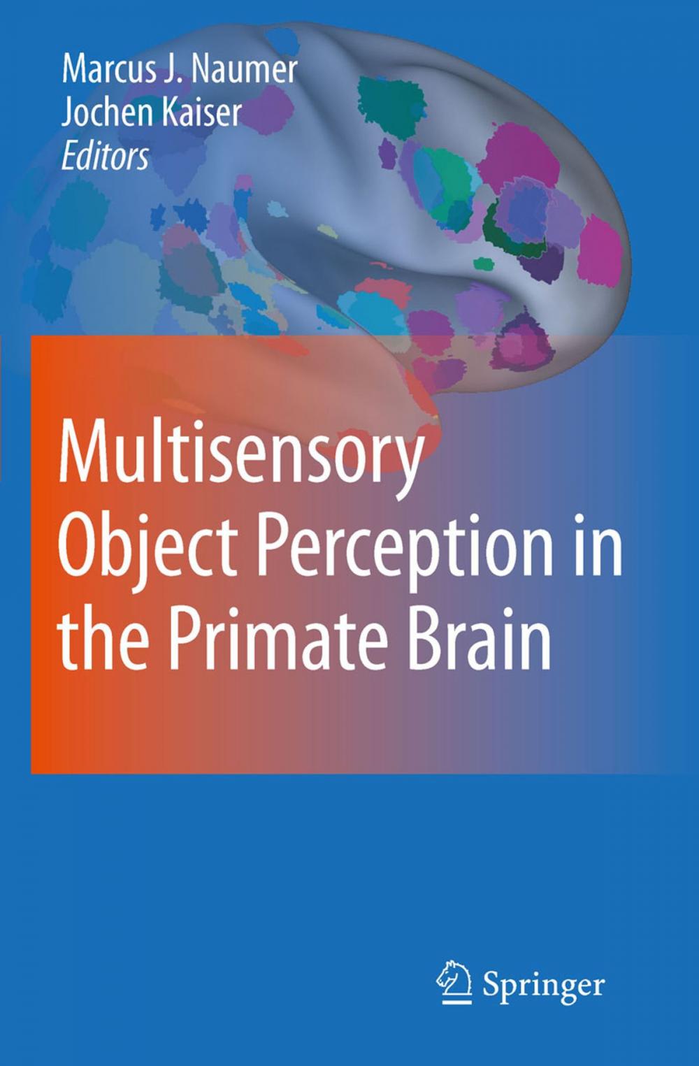 Big bigCover of Multisensory Object Perception in the Primate Brain