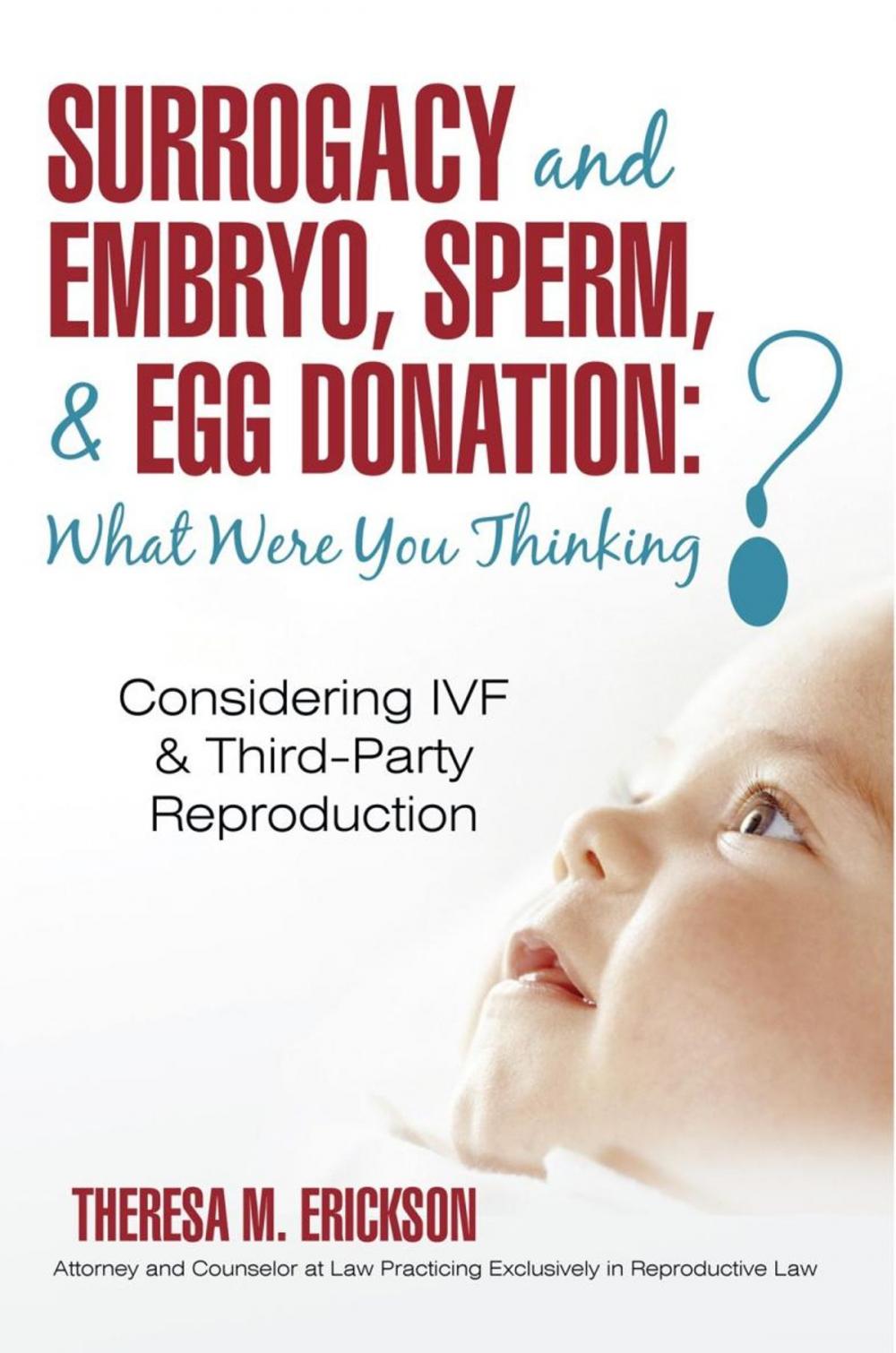 Big bigCover of Surrogacy and Embryo, Sperm, & Egg Donation: What Were You Thinking?