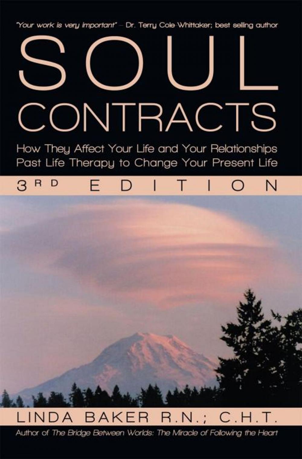 Big bigCover of Soul Contracts