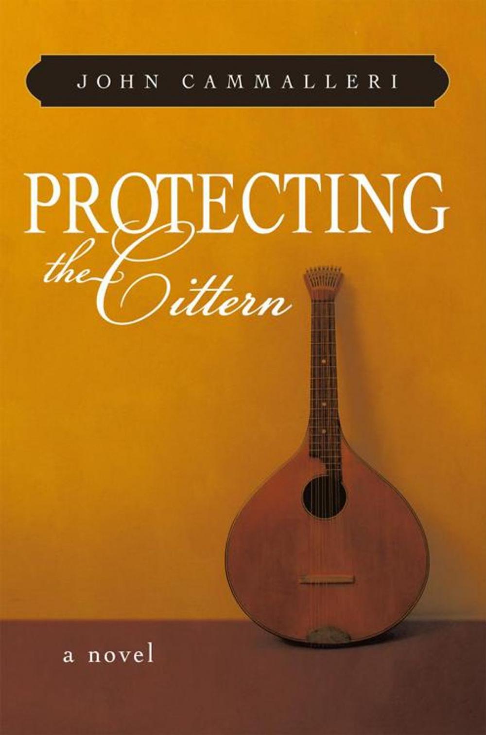 Big bigCover of Protecting the Cittern