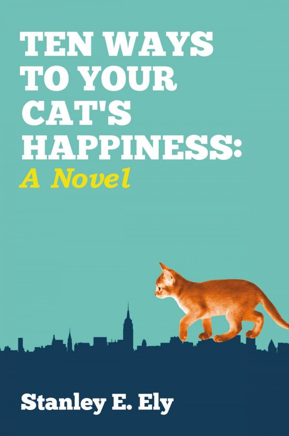 Big bigCover of Ten Ways to Your Cat’S Happiness