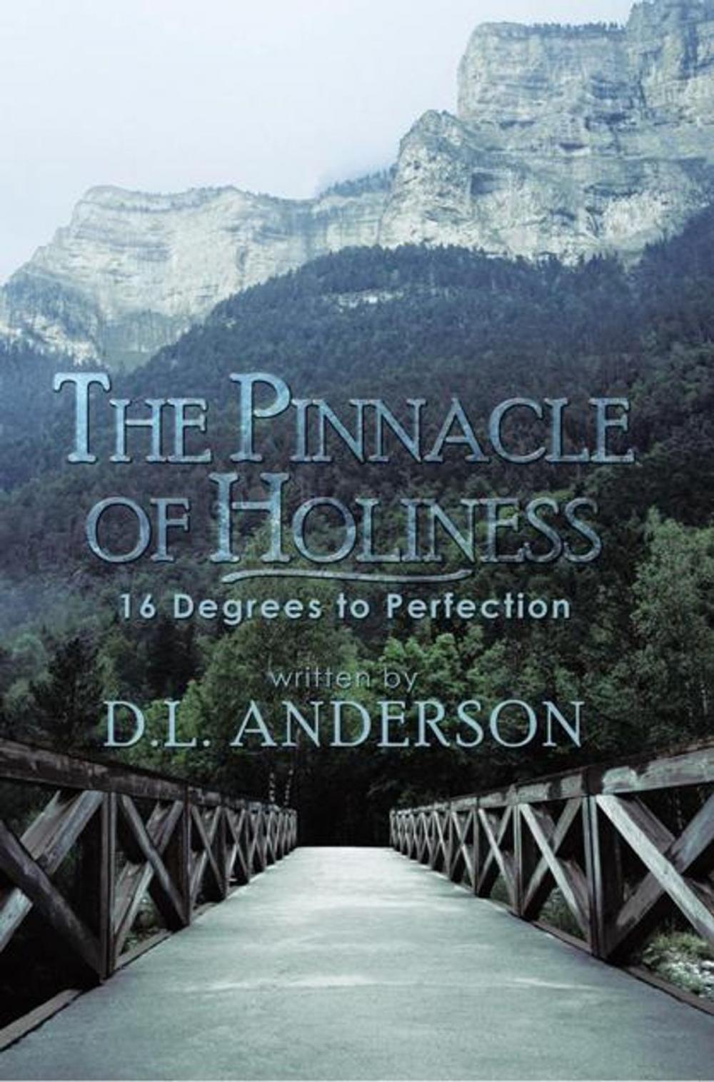 Big bigCover of The Pinnacle of Holiness