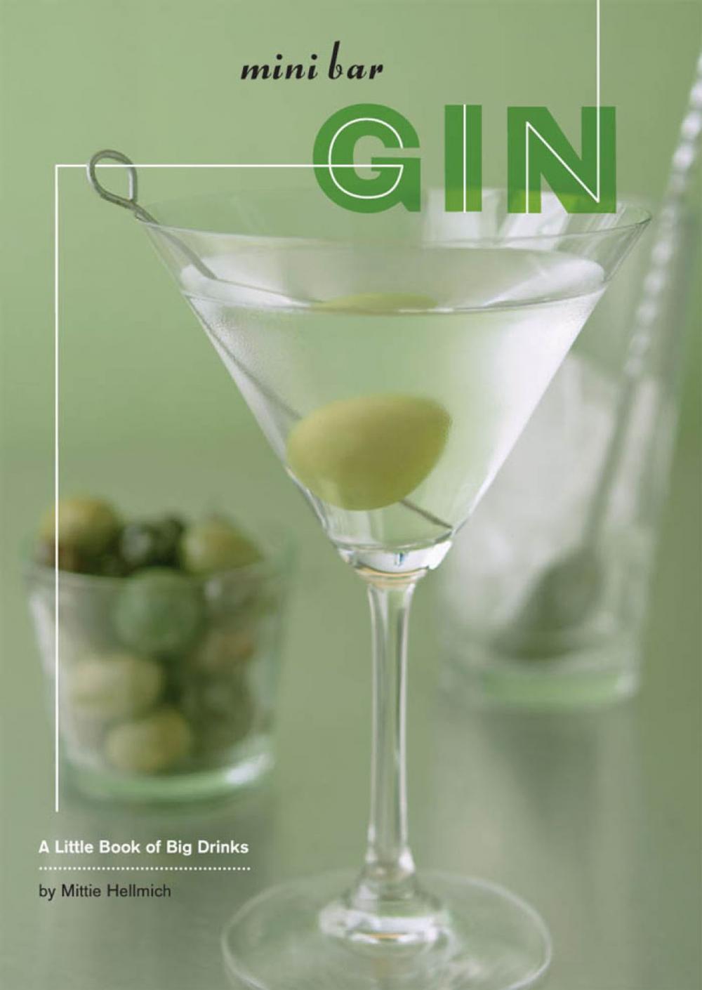 Big bigCover of Mini Bar: Gin