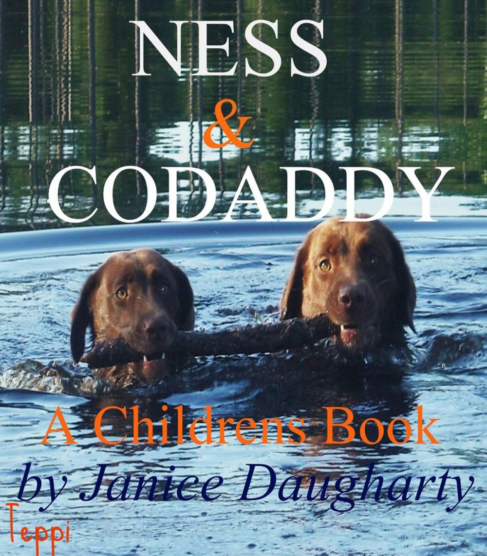 Big bigCover of Ness and Codaddy: children's rhyming book