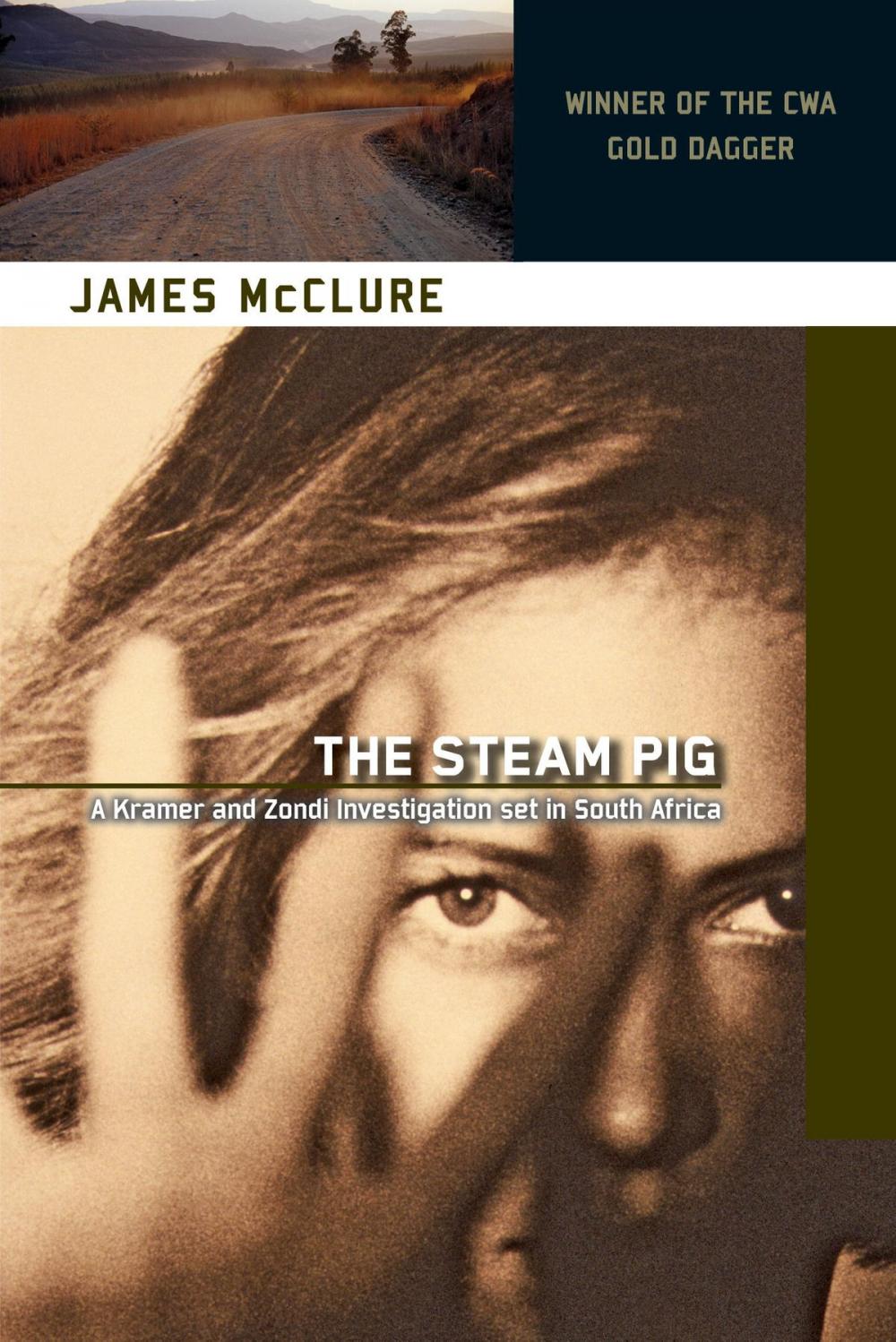 Big bigCover of The Steam Pig