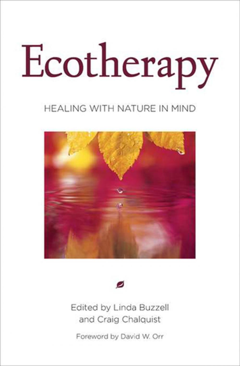 Big bigCover of Ecotherapy