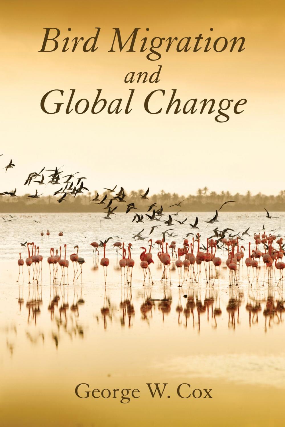 Big bigCover of Bird Migration and Global Change