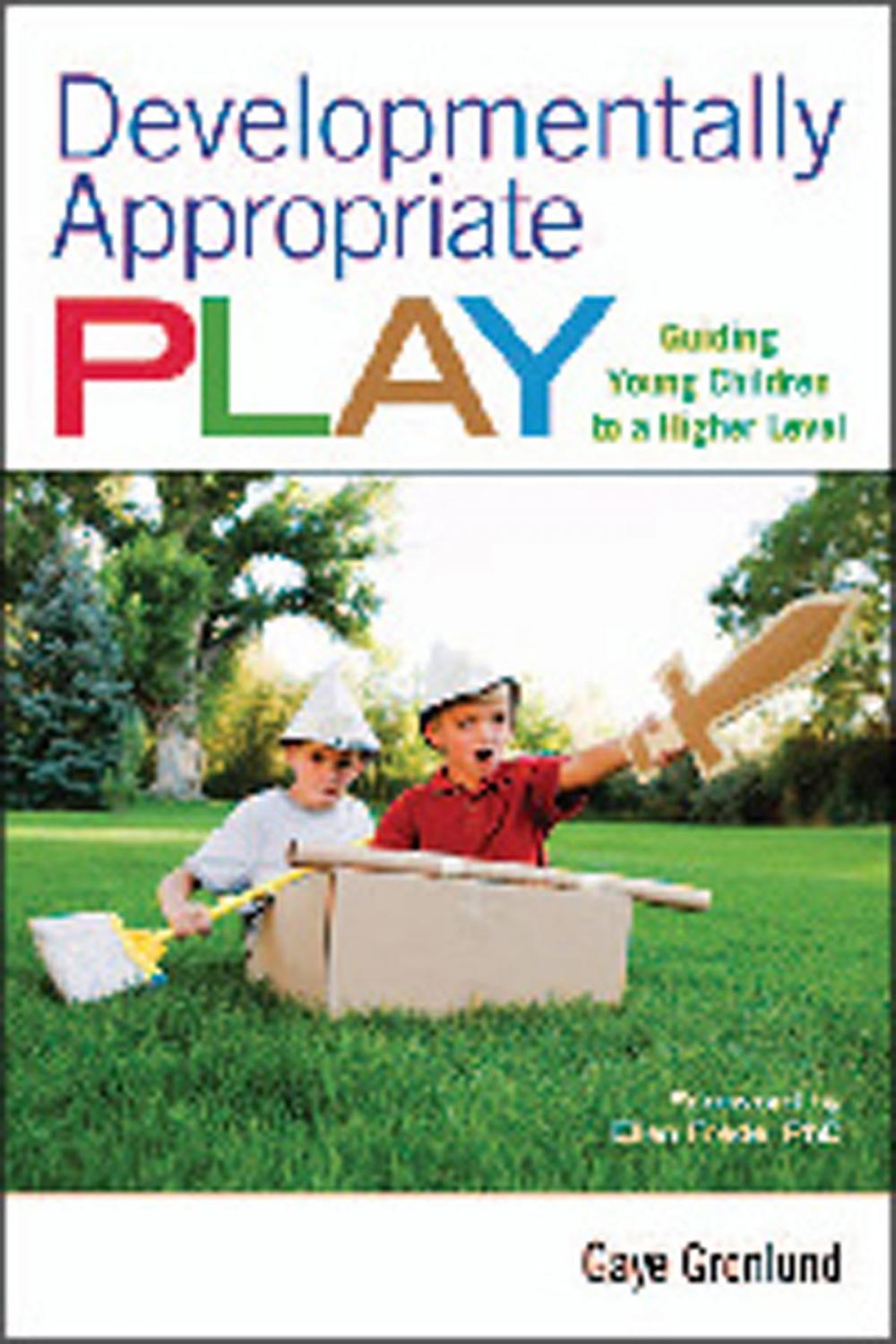 Big bigCover of Developmentally Appropriate Play