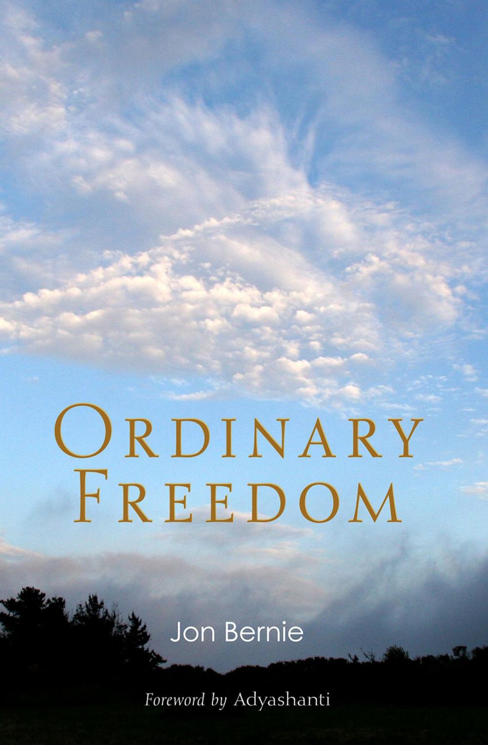 Big bigCover of Ordinary Freedom