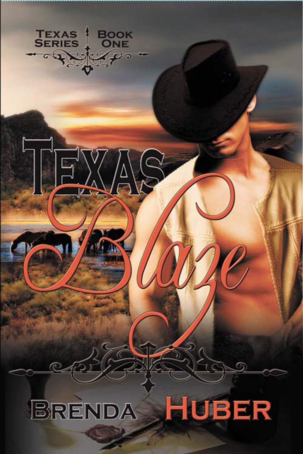 Big bigCover of Texas Blaze