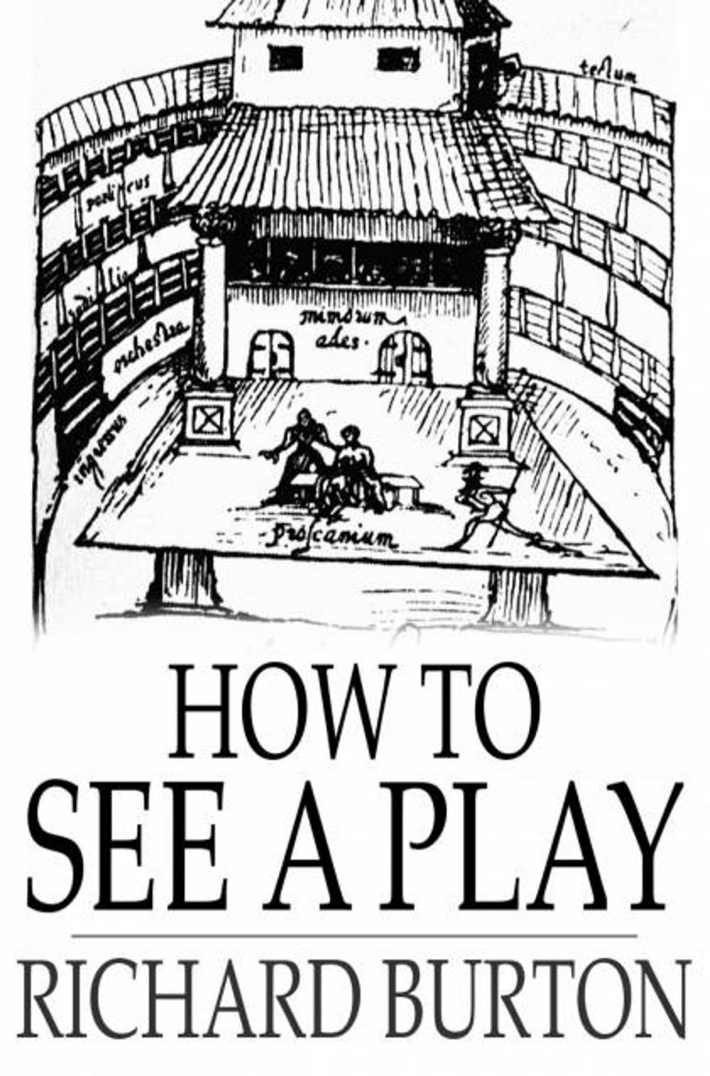 Big bigCover of How to See a Play