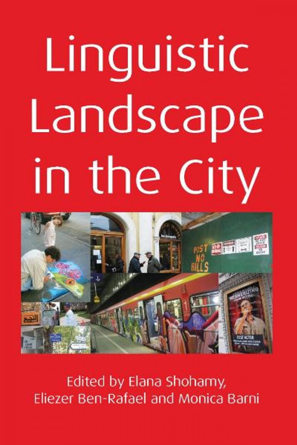 Big bigCover of Linguistic Landscape in the City