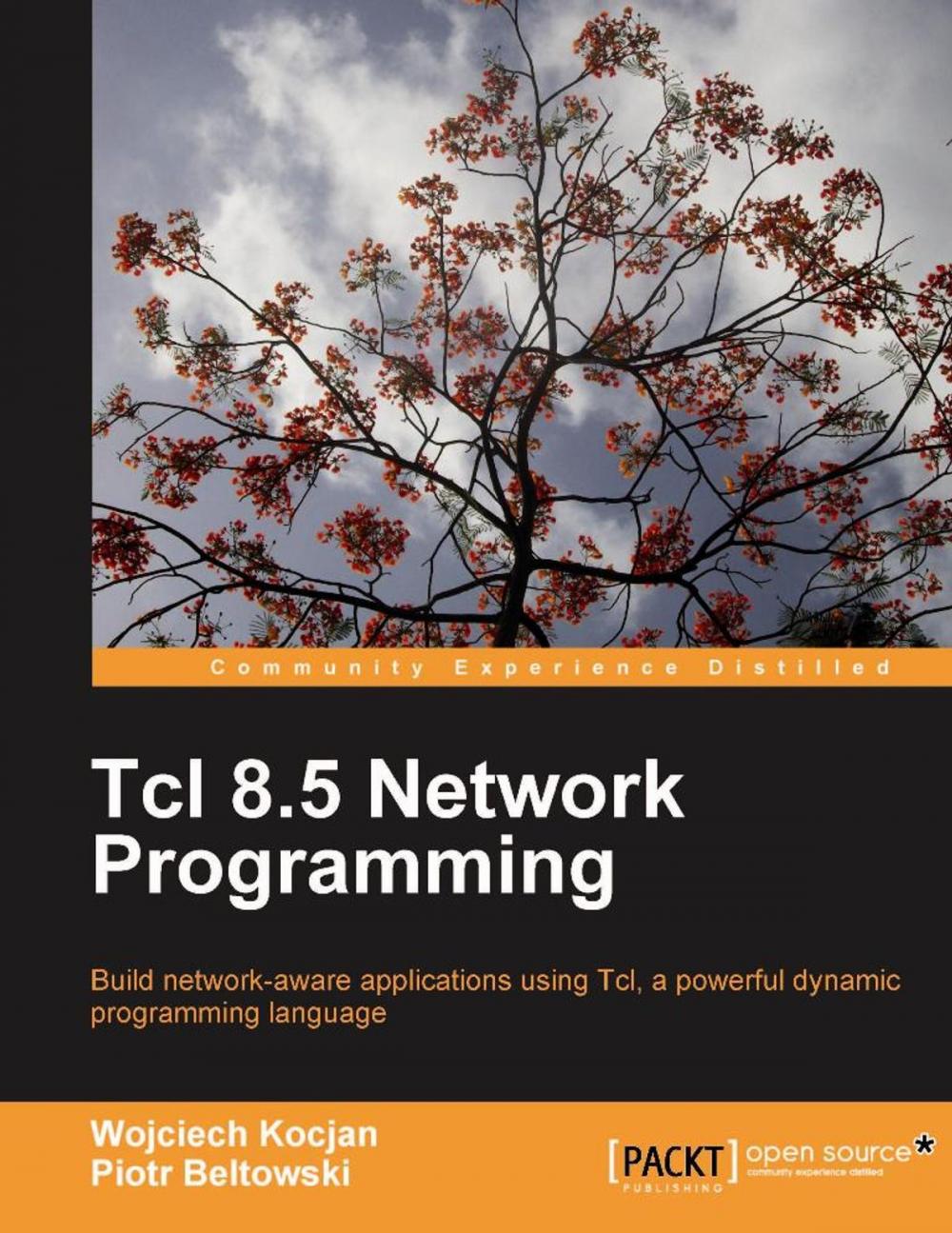 Big bigCover of Tcl 8.5 Network Programming