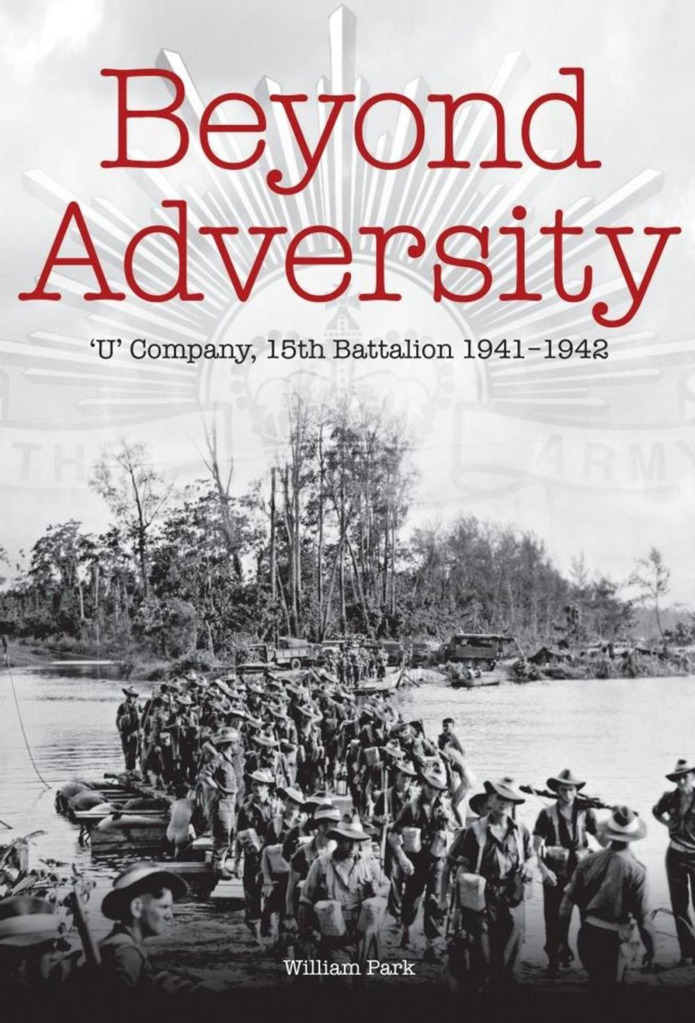 Big bigCover of Beyond Adversity